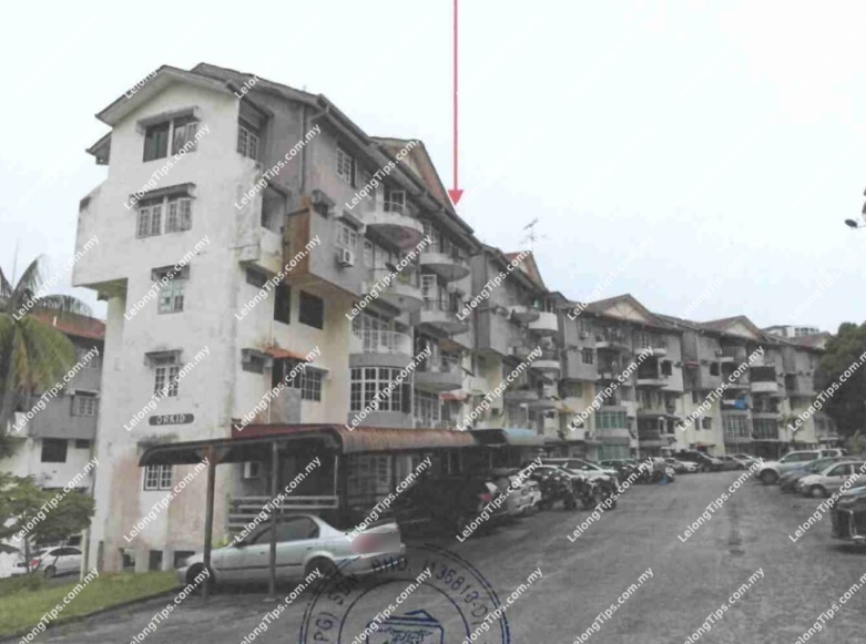 Duplex Apartment
