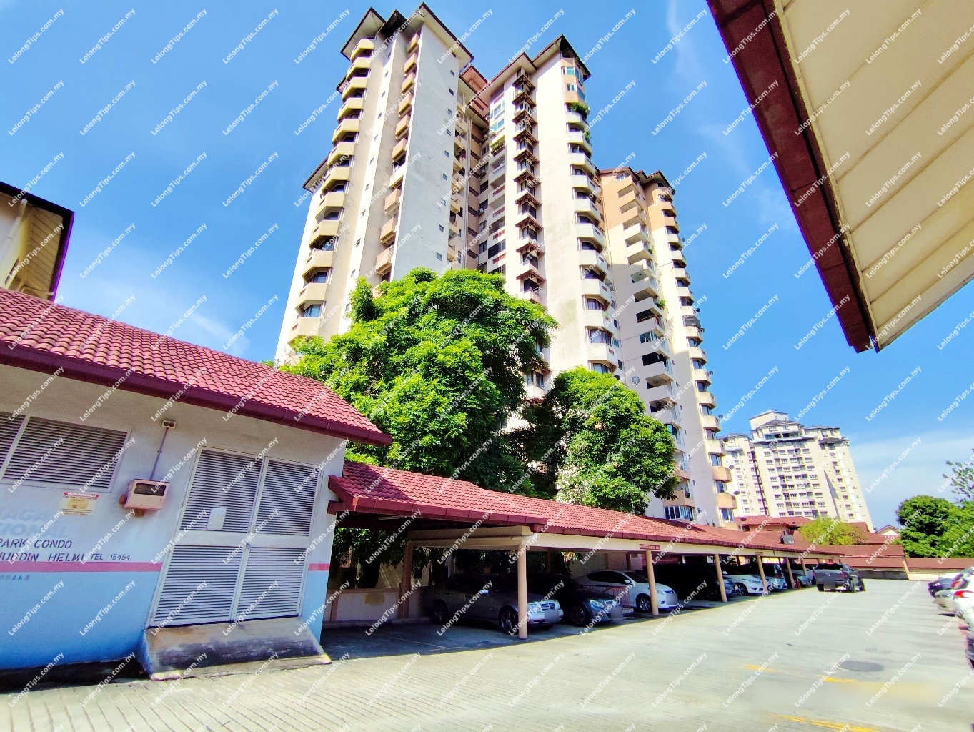 Condominium 