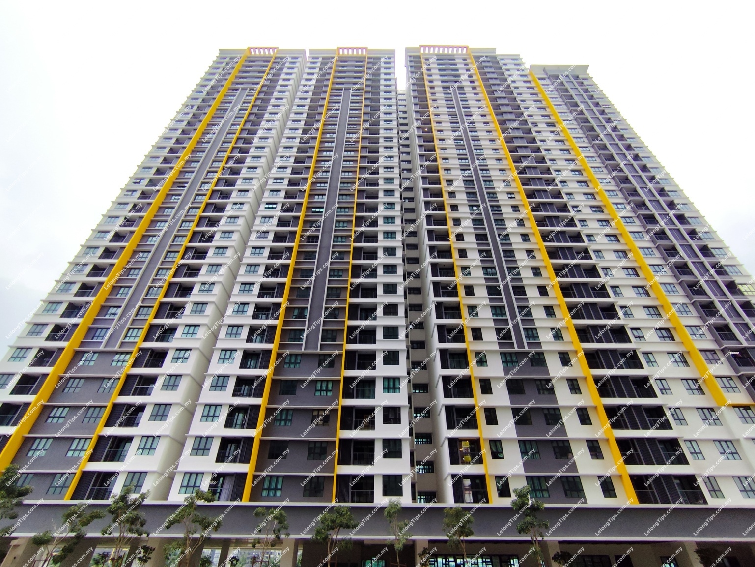 Service Apartment