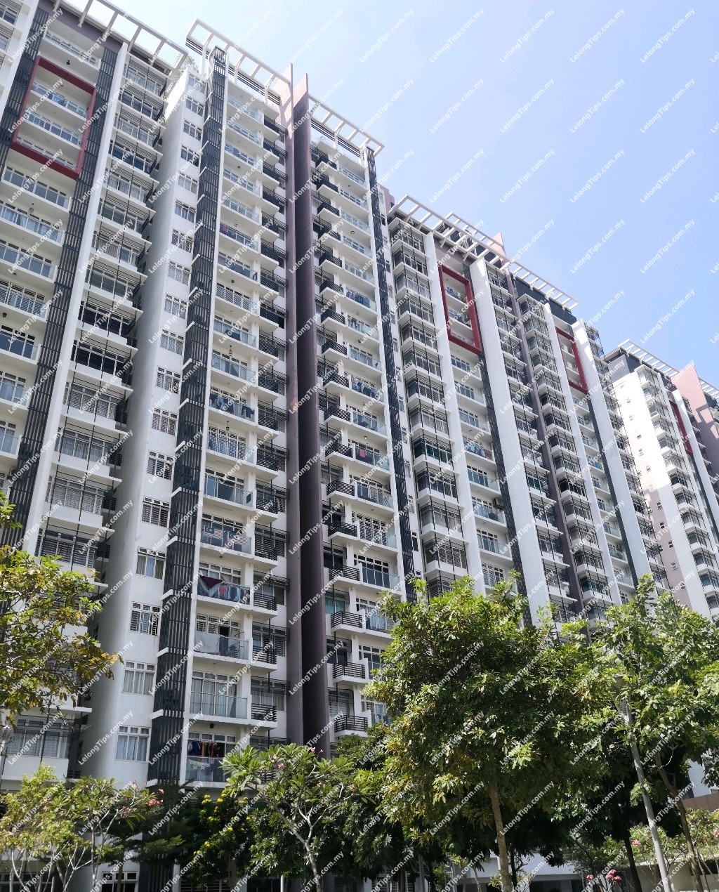 Service Apartment