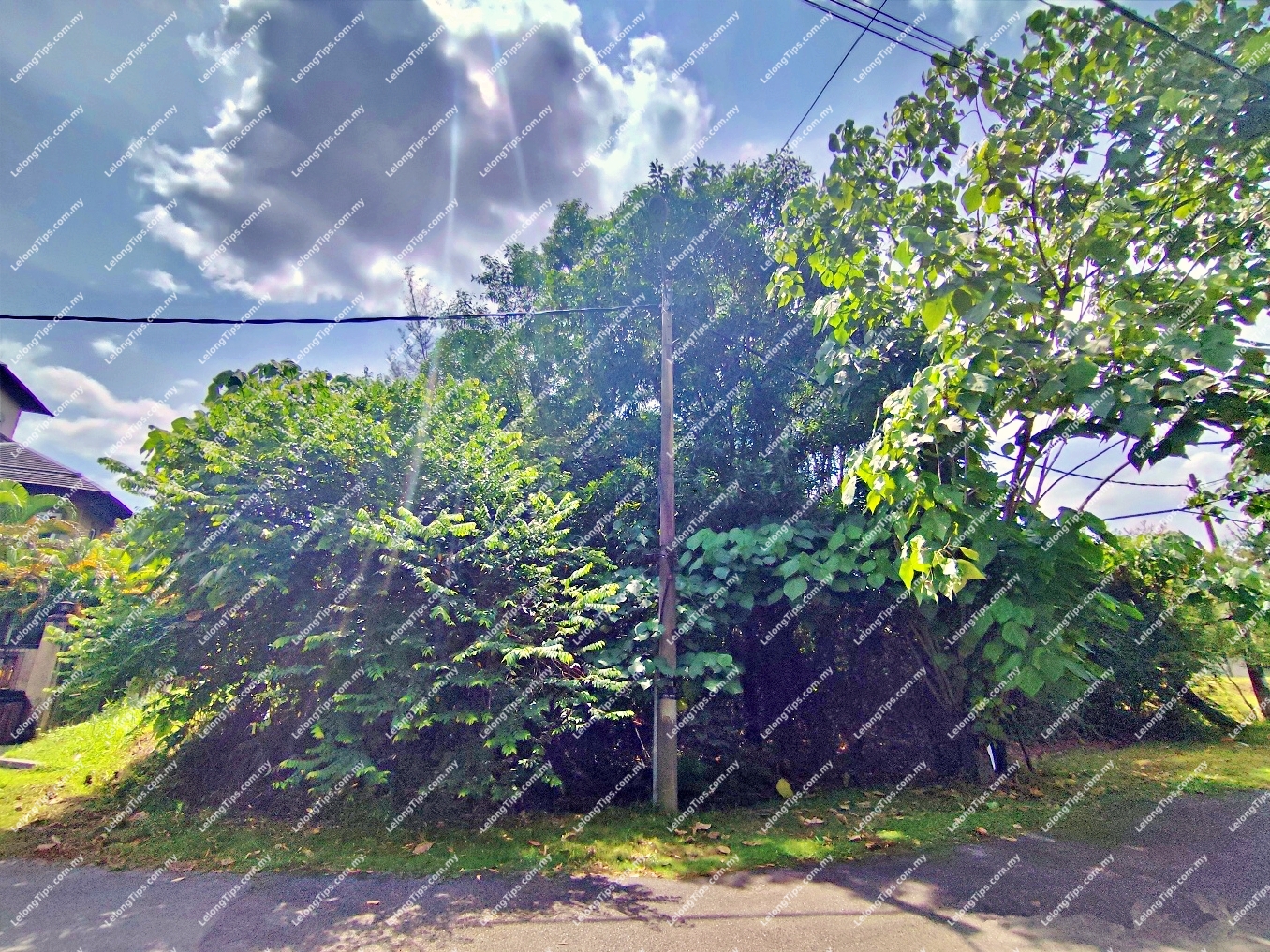 Vacant Detached Plot