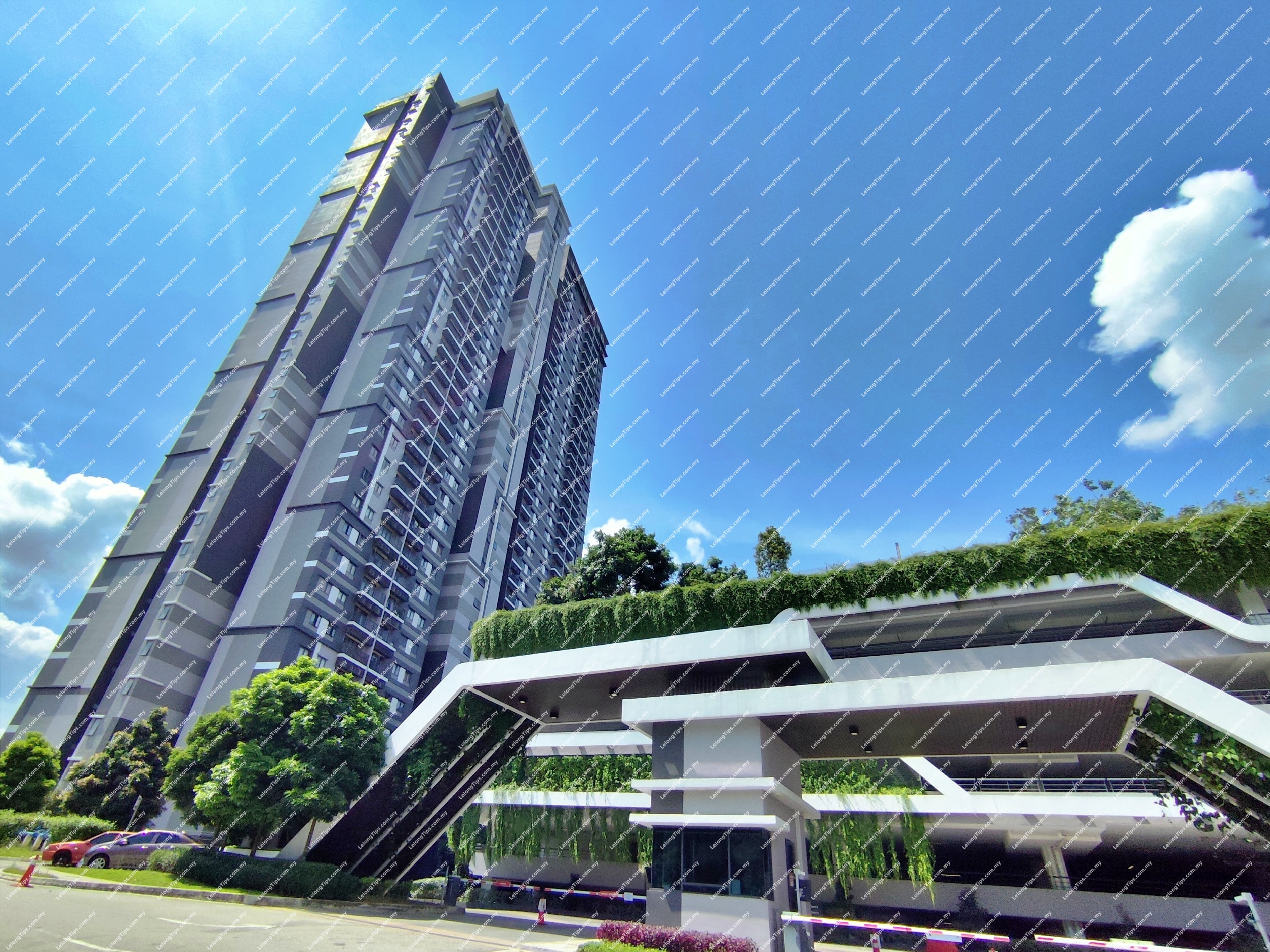 Service Apartment