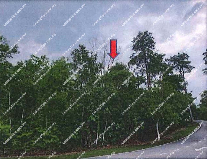 Vacant Residential Detached Lot