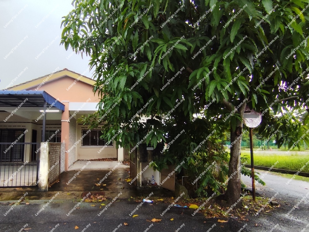 1 Storey Terrace House