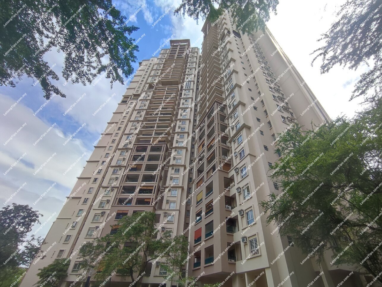 Duplex Penthouse