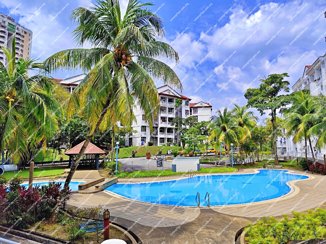 Condominium image 4