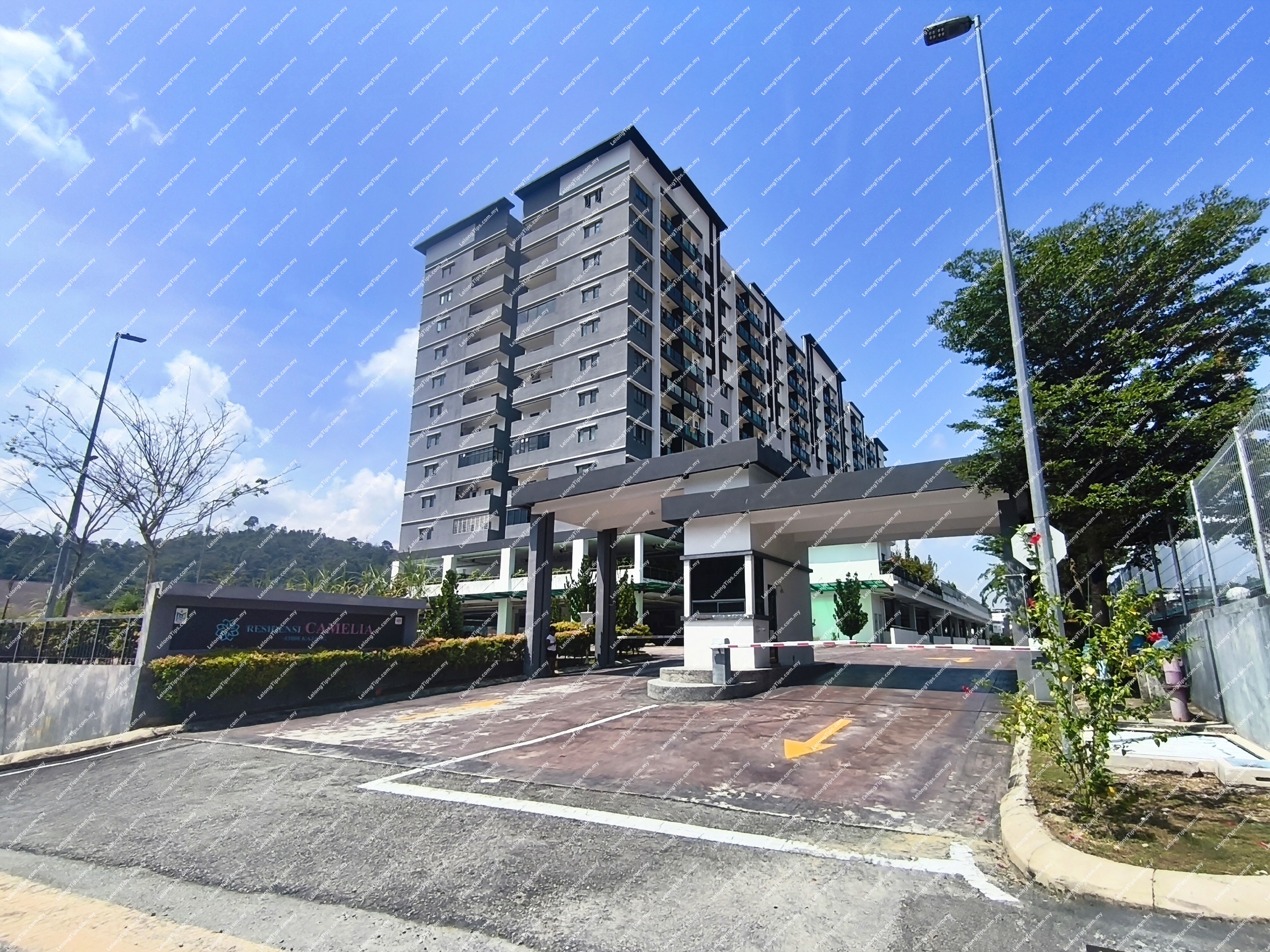 Condominium