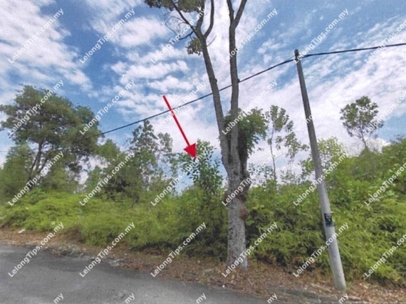 Residential Land